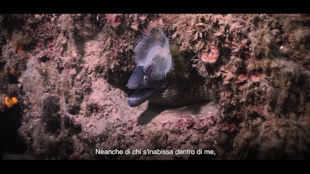 los angeles - Le Reti Fantasma