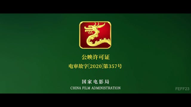 FEFF 2021 - Anima_FEATURE_clean