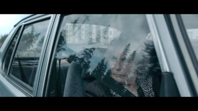 MIOCINEMA - SAMI BLOOD_ITA