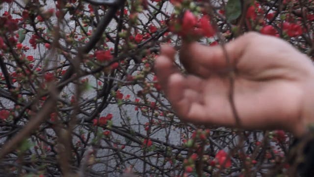 Lara Casirati - FESCAAAL_Old Child