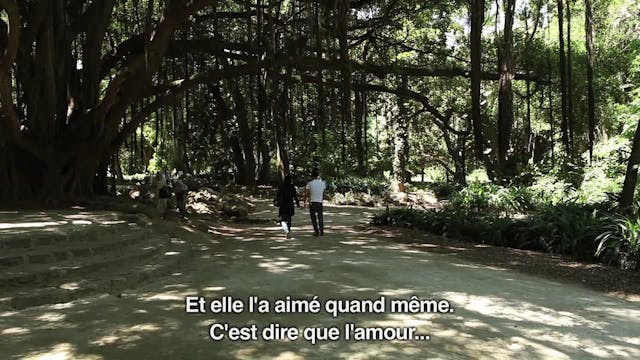 MEDFILM - 02_TARZAN DON QUICHOTTE ET NOUS