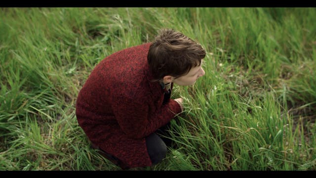 SemeLeVent_FTR-5_F-194_IT-EN_FR_51_2K...