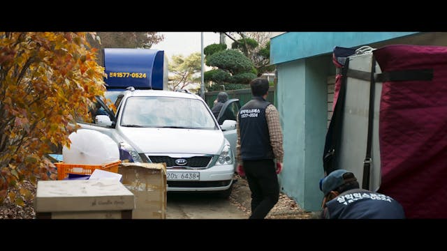 KOREA - Metamorphosis