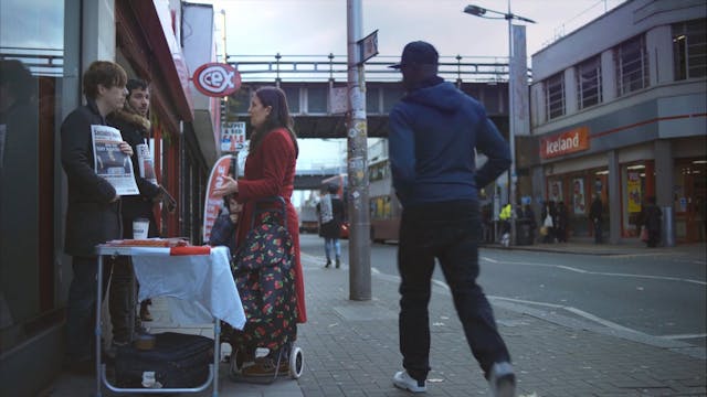 TRIESTE ON TOUR - Cat in the wall