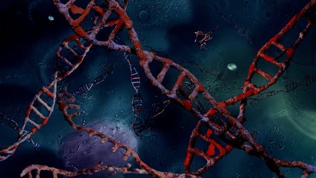 SEDICICORTO 2021 - CODE_5.1_HD