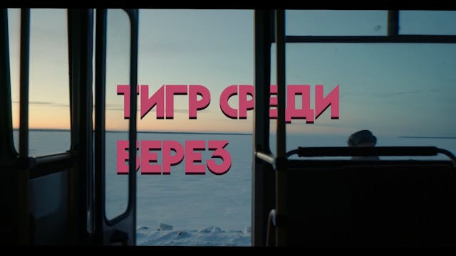 compagnia - LA TIGRE TRA LE BETULLE