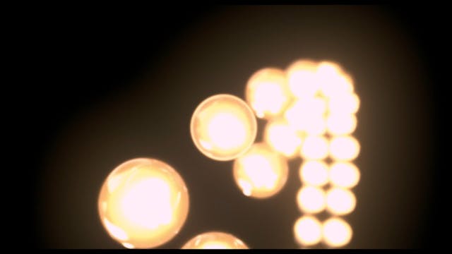 VENEZIA 78 biennale - Rhino_FTR-2-SCR_HD-185_P3_UK_XX_20_1280x720_25fps