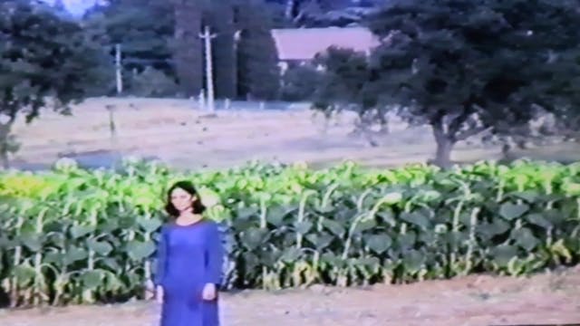 FUORINORMA - La trilogia dei viandant...