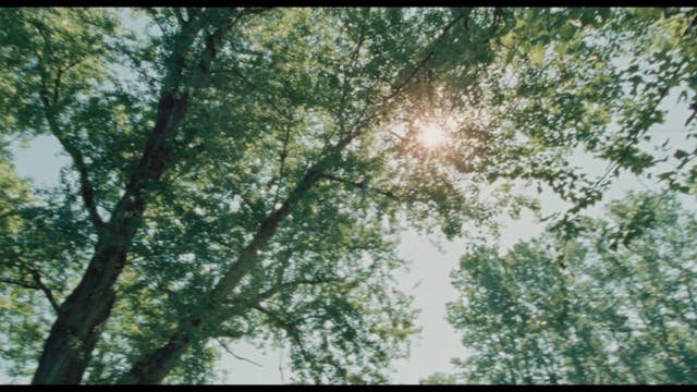 CapriHollywood2021 - PLAYGROUND