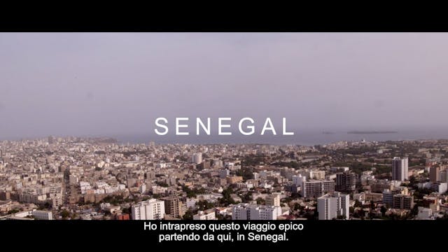 CINEMA AMBIENTE - greatgreenwall movies