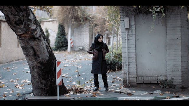 SHORTS - Exam - maremetraggio#2