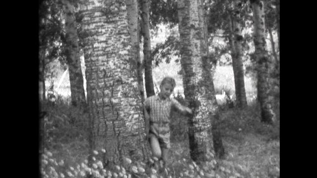 IsReal - Sulle Arie, Sulle Acque, Sui Luoghi