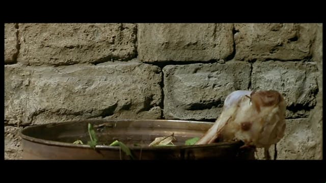 PINOCCHIO_BENIGNI-ITA