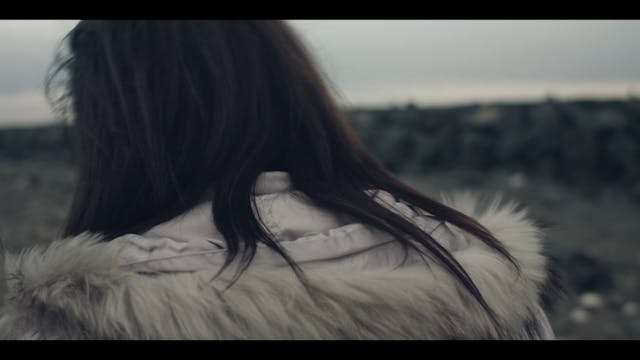 ISTITUTO CULTURA - PUNTASACRA_H264_Lt...