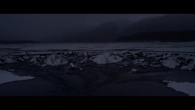 VENEZIA 2021 - blanco en blanco