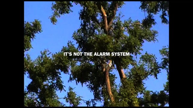 SCHERMO DELL'ARTE - Make Me Safe