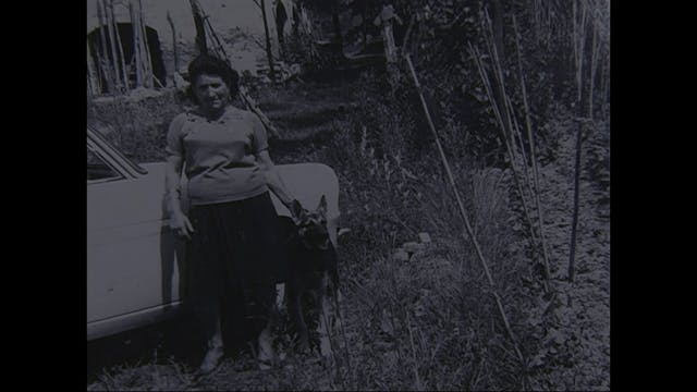 FUORINORMA - Pagine di Storia Naturale