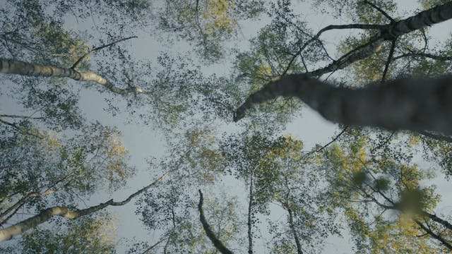 SHORTS - Figurant - maremetraggio #4