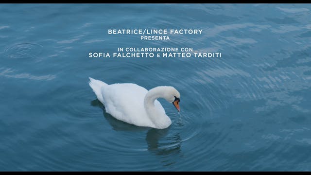 MYRELOAD - MonsterSitter_ShortFilm2019_H264_BitRate30_169_Stereo_DEF