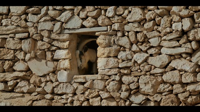 sala web GdA 79 - Kristos, the Last Child 