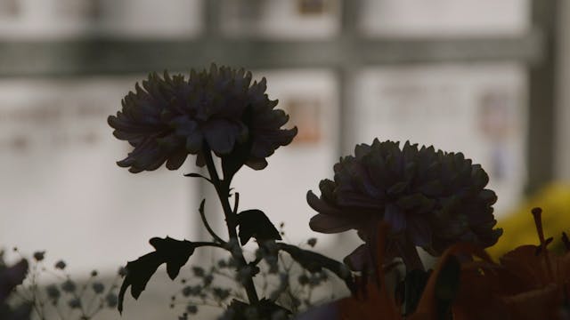 VISIONI DAL MONDO 2022 - FINO ALLA FINE_ONLINE Elisabetta Ghizzoni