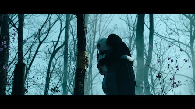 TRIESTE - SF8-JOAN'S GALAXY