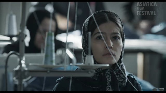 ASIATICA SURPRISE - NO CHOICE