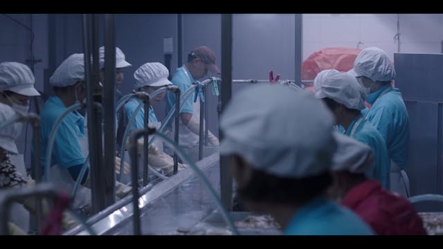 KOREA - To each your Sarah - Corti 3