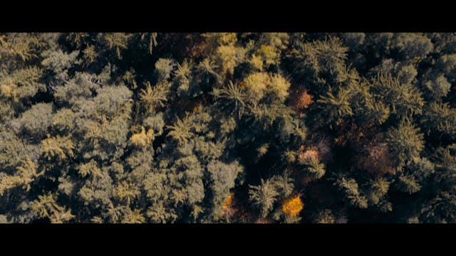 FILMING ITALY - Cristian Berna - ABBI FEDE_Master_ITA_STEREO_