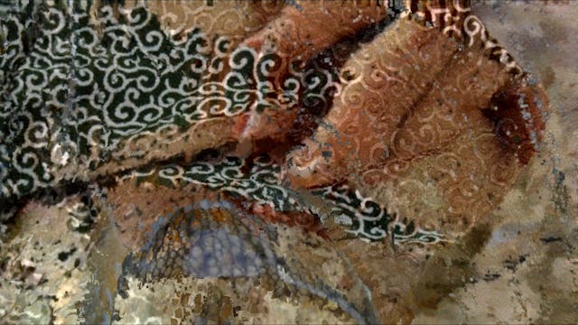 myreload - Giada Sartori - le rêve de la pêcheuse_Samuel Bester-20Mb