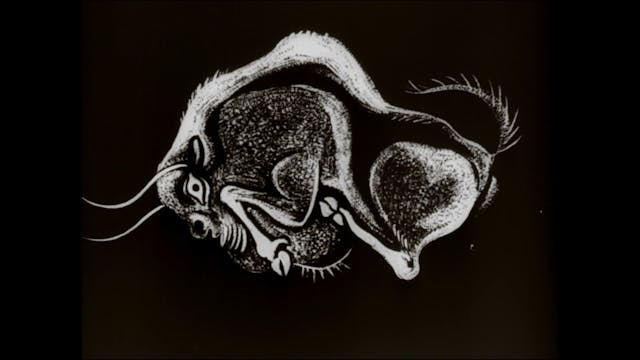 CINEMA RITROVATO 2021 - ESAPAREJA_REST3_HD_23976_20Mbps