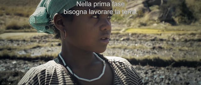 myreload - 56LA GUARIMBA(sotto1)