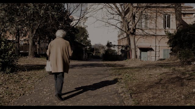 VISIONI DAL MONDO - FC - FILM - VICINE