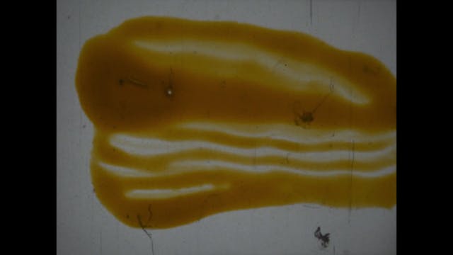 TERRE DA FESTIVAL - TUTABLU_h264_Mbps12_2Gb(1)