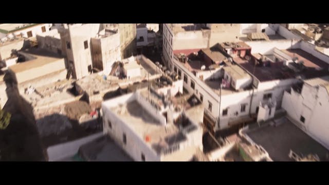 VENEZIA 2020 - Zanka Contact