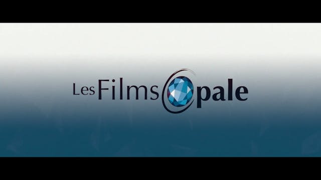 quebec 2022 - DRUNKEN BIRDS IT