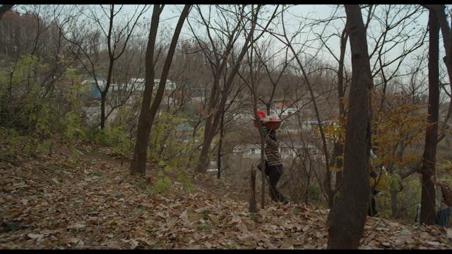 FEFF - Lucky Chan Sil