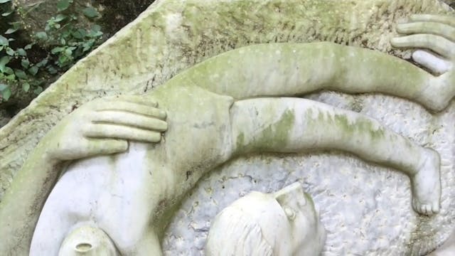 VITTORIA PEACE - Ci salvarono gli alberi