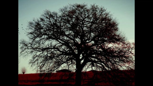 CARBOLUCE mymovieslive - FilmFantasma_Normal_CLEAN