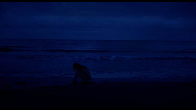 future - Lumina 24fps_audio_stereo sub eng_1080x1920__H264_20mbps_