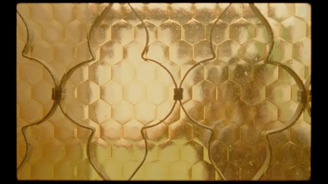 MEDFILM 2021 - in the Woods - S Grguric - H264 - NO SUBS