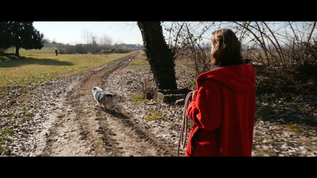 lo spiraglio - Come stanno i ragazzi - FULL_HD