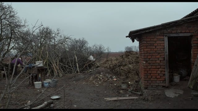 BIOGRAFILM 2022 - Bukolika_FullHD_25p_stereo_MyMovies