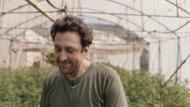 MEDFILM 2021 - TREES OV STEREO PR422HQ 1080p REC708 MASTER NO SUB