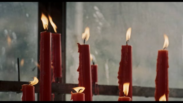 terraviva 2022 - Where The LeavesFall_2K_1.85_H265_2.0_SUB_ITA_ENG