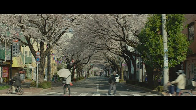 MIOCINEMA - LE RICETTE DELLA SIGNORA TOKU - ITA