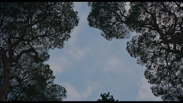 MiWORLD - Lara Casirati - MIWY_1982