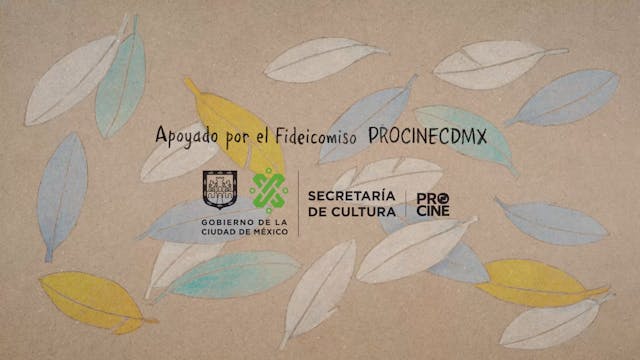 GIFFONI 2022 - Colourful Feathers