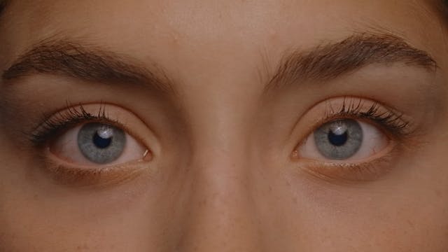 caprihollywood2021 - The Line of Life - The Line Of Life (1080p 43mbps)