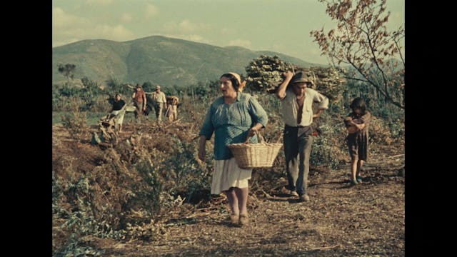 Paolo Pellicano - GiorniDAmore_1080_24_12Mbps_MYm